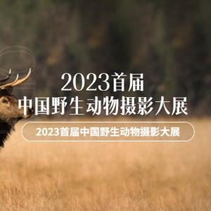 2023׽йҰӰչ