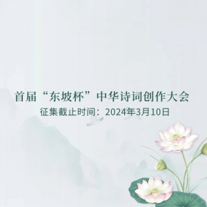 ׽조±лʫʴ