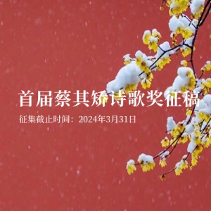 ׽ʫ轱