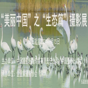 й̬֮ƪӰչ