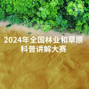 2024ȫҵͲԭս