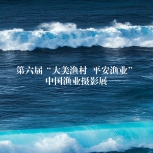 조 ƽҵйҵӰչ