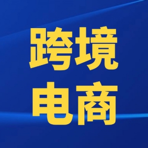 񵥾2025ȫУҵӢսó׾羳