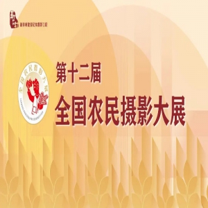 ʮȫũӰչ