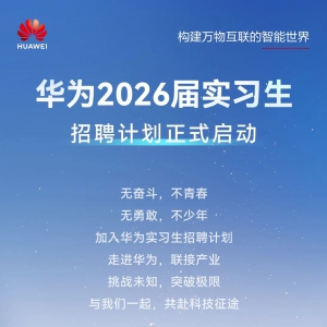 Ϊ2026ʵϰƸ