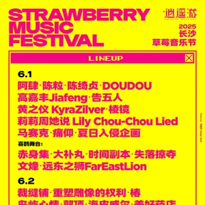 【餐饮+专属T恤+证书+纪念毛巾 】赵雷/痛仰/万能青年旅店/陈绮贞/陈粒/...草莓音乐节志愿者招募！