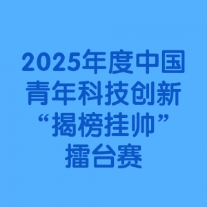 ʮŽ조ս2025йƼ¡Ұ˧̨
