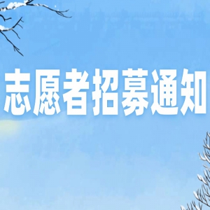 ��־Ը����ļ��2026��ڰ˽��ѧ������������������־Ը����ļ