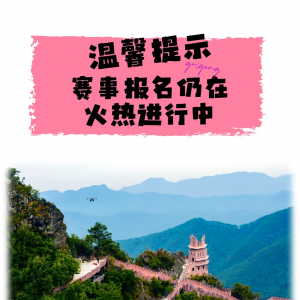 ���ٷ�֤��+ר��T��+�Ͱ�+ʳ��+֤��+��ѵ+������2026��۰�����Ӱʦ־Ը����ļ