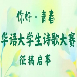 �ڶ��조����ഺ�������ѧ��ʫ�����������